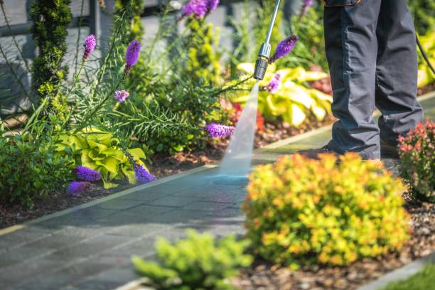Best Spring Cleaning  in Vley, AL
